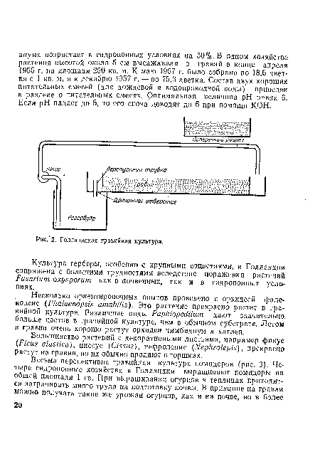 Голландская гравийная культура.