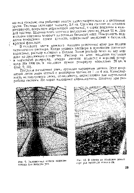 Заполненные песком поддоны готовы для посадки роз.