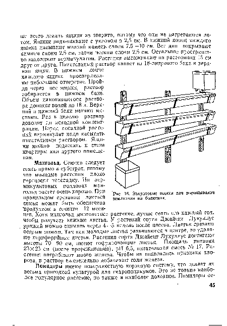 Эверитовые ящики для выращивания земляники на балконах.