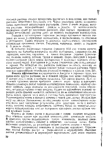 В больших эверитовых горшках (диаметр 37,5 см) можно культивировать на балконах и верандах многие кустарники, например азалии, гортензии, камелии, гардении, а также плодовые деревья (апельсины, лимоны, инжир, яблони, груши и вишни). Перед посадкой в верми-кулито-песчаную смесь корни кустарников и плодовых деревьев обмывают теплой водой. Кустарники и деревья плодоносят уже в год посадки в горшки. На четвертый год растения начинают погибать, поэтому их высаживают в грунт, а в горшки сажают новые молодые растения. Ниже описано выращивание отдельных растений в горшках и ящиках (рис. 23).