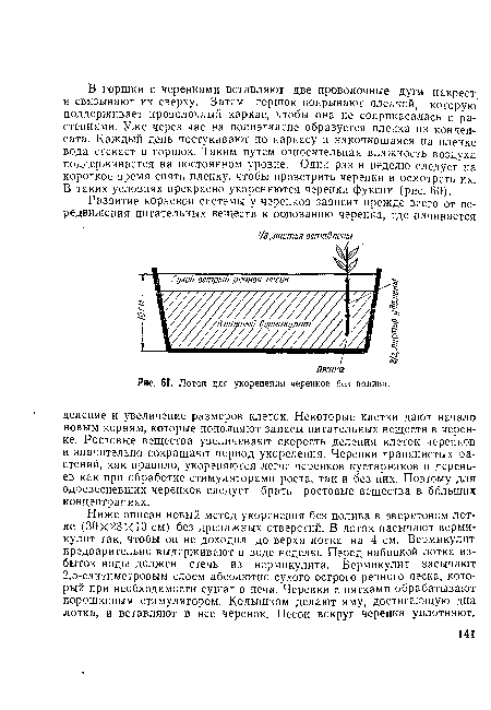 Лоток для укоренения черенков без полива.