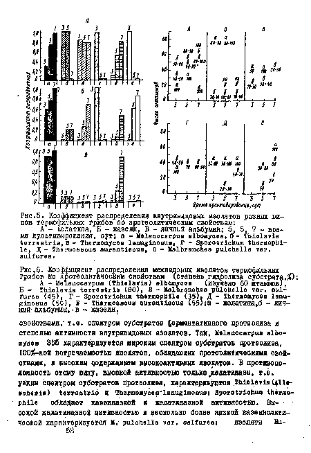 Коэффициент распределения внутривидовых изолятов разных видов термофильных грибов по протеолитическим свойствам
