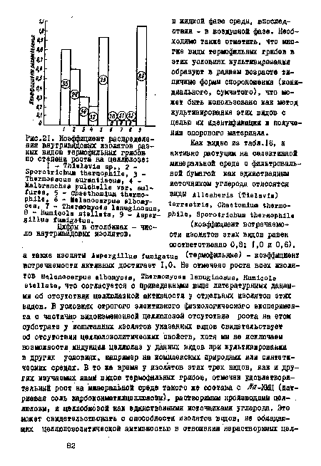 Коэффициент распределения внутривидовых изолятов разных видов термофильных грибов по степени роста на целлюлозе