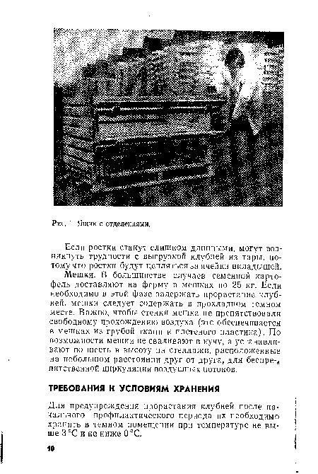 Для предупреждения прорастания клубней после начального профилактического периода их необходимо хранить в темном помещении при температуре не выше 3 °С и не ниже О °С.