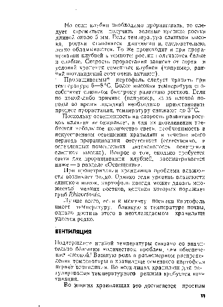 Поскольку освещенность на скорость развития ростков влияния не оказывает, а для их позеленения требуется небольшое количество света, необходимость в искусственном освещении хранилищ в течение всего периода проращивания отсутствует (естественно, в остекленных помещениях интенсивность освещения слишком высока). Вопрос о том, сколько требуется света для проращивания клубней, рассматривается ниже — в разделе «Освещение».