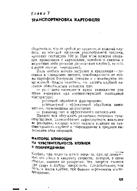 Подсчитано, что от гребня до хранилища каждый клубень, не покидая пределов разнообразной техники, проходит дистанцию 100 м. При этом каждая операция, проводимая с картофелем, неизбежно связана с падениями либо резкими движениями клубней, то есть с вероятностью повреждений.