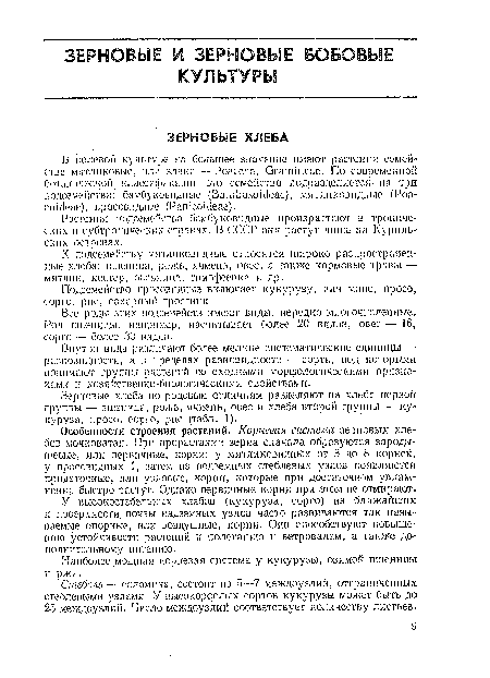 Все роды этих подсемейств имеют виды, нередко многочисленные. Род пшеницы, например, насчитывает более 20 видов, овес — 16, сорго — более 30 видов.