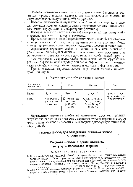 Определение зерновых хлебов по соцветиям. Для определения берут целые растения или соцветия зерновых хлебов первой и второй групп в фазе восковой спелости и используют приведенную ниже таблицу (ключ).