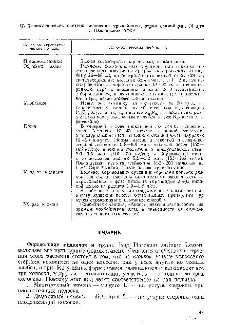 Определение подвидов и групп. Вид Hordeum sativum Lessen, включает все культурные формы ячменя. Основная особенность строения этого растения состоит в том, что на каждом уступе колосового стержня находится не один колосок, как у всех других колосовых хлебов, а три. Но у одних форм ячменя развиваются и плодоносят все три колоска, у других — только один, у третьих — от одного до трех колосков. Поэтому этот вид делят соответственно на три подвида.