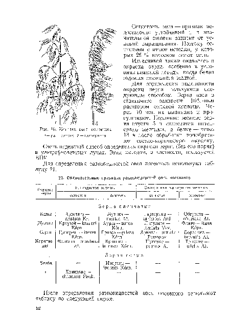 Для определения разновидностей овса посевного используют таблицу 21.
