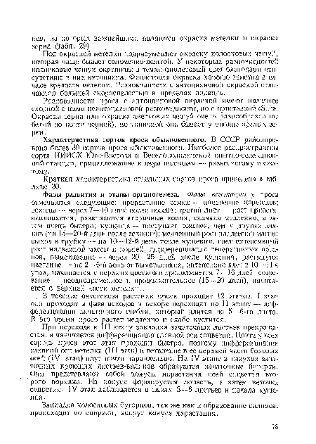 В течение онтогенеза растения проса проходят 12 этапов. I этап они. проходят в фазе всходов и вскоре переходят ко II этапу — дифференциации зачаточного стебля, который длится до 5—6-го листа. В это время просо растет медленно и слабо кустится.