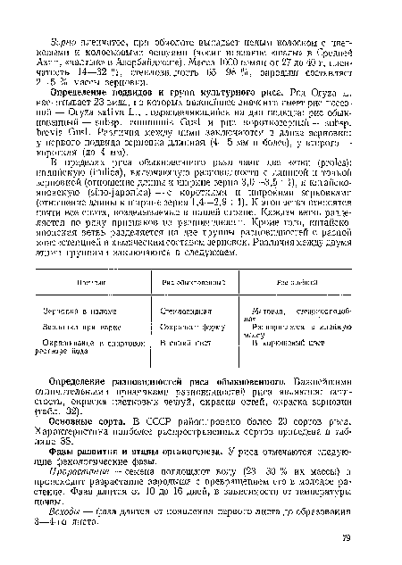 В пределах риса обыкновенного различают две ветви (proles): индийскую (indica), включающую разновидности с длинной и тонкой зерновкой (отношение длины к ширине зерна 3,0—3,5 : 1), и китайско-японскую (sino-japonica) — с короткими и широкими зерновками (отношение длины к ширине зерна 1,4—2,9 : 1). К этой ветви относятся почти все сорта, возделываемые в нашей стране. Каждая ветвь разделяется по ряду признаков на разновидности. Кроме того, китайско-японская ветвь разделяется на две группы разновидностей с разной консистенцией н химическим составом зерновок. Различия между двумя этими группами заключаются в следующем.