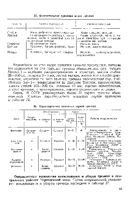 Сорта. В СССР районировано более 30 сортов гречихи обыкновенной. Краткая характеристика основных сортов приведена в таблице 36.