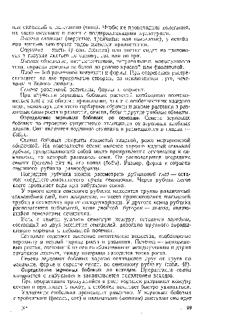 Посредине рубчика можно рассмотреть рубчпковый след — остаток сосудисто-волокнистого пучка семяпочки. Через рубчик легче всего проникает вода при набухании семян.