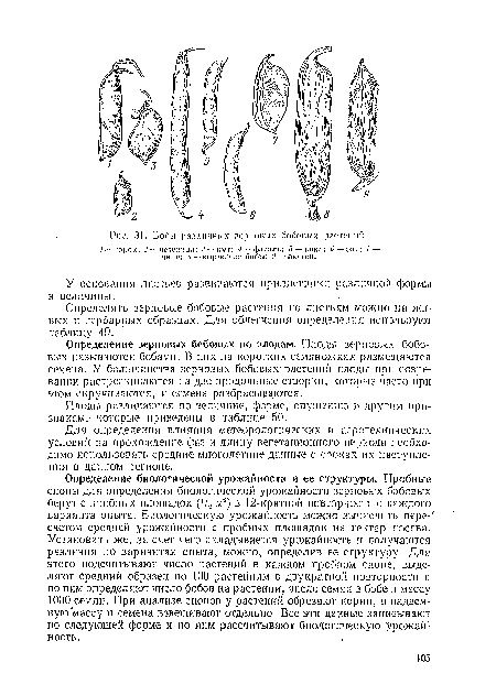 Плоды различаются по величине, форме, опушению и другим признакам, которые приведены в таблице 50.