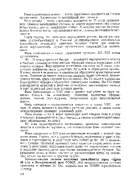 Фаза налива — на X этапе происходит рост створок боба в длину и ширину, формируются органы зародыша семени (соответствует фено-фазе образования лопатки).