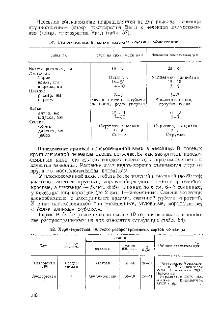 У плоскосемянной вики стебель более толстый и высокий (до 80 см); листочки листьев крупные, обратнояйцевидные; цветки фиолетовокрасные, а чечевицы — белые, бобы длинные до 6 см, 6—7-семяиные, у чечевицы они короткие (до 2 см), 1—2-семянные. Семена чечевицы дискообразные, с заостренными краями, семенной рубчик короткий.