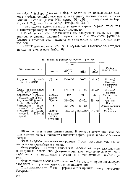 Фаза прорастания семян — проходит I этап органогенеза. Конус нарастания недифференцирован.