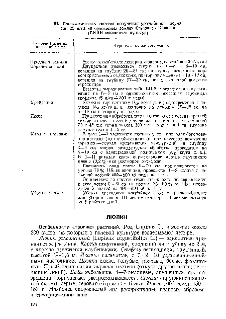 Особенности строения растений. Род Ьиртш Ь. включает около 200 видов, из которых в полевой культуре возделывают четыре.