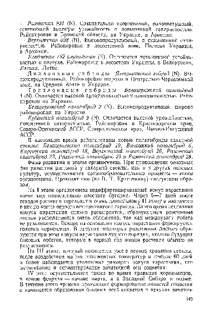 Верхнячская 038 (И). Высокопродуктивный, с повышенной сахаристостью. Районирован в лесостепной зоне, Полесье Украины, в Армении.