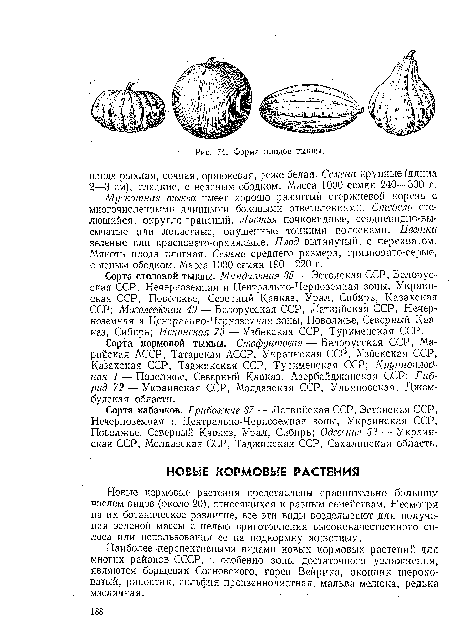 Новые кормовые растения представлены сравнительно большим числом видов (около 20), относящихся к разным семействам. Несмотря на их ботаническое различие, все эти виды возделывают для получения зеленой массы с целью приготовления высококачественного силоса или использования ее на подкормку животным.