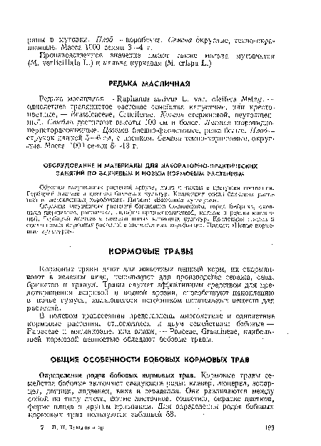 Образцы засушенных растений борщевика Сосновского, горца ВеГфиха, окопника шершавого, рапоитнка, сильфни пронзенполистной, мальвы и редьки масличной. Гербарий листьев и цветков новых кормовых культур. Коллекция плодов и семян новых кормовых растений в застекленных коробочках. Плакат: «Новые кормовые культуры».