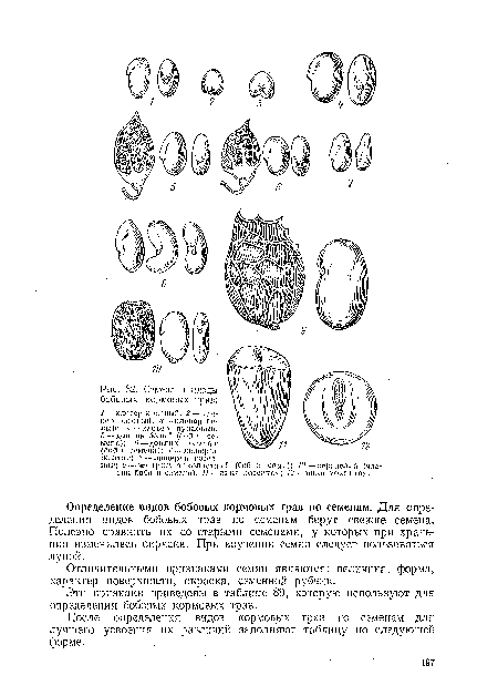 Эти признаки приведены в таблице 89, которую используют для определения бобовых кормовых трав.
