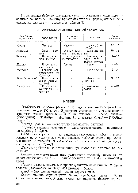 Плод — боб односемянный, редко двусемянный.