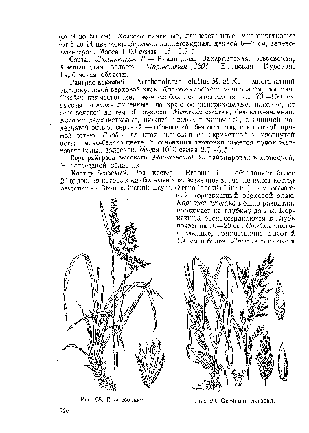 Сорта. Люлинецкая 3 — Винницкая, Закарпатская, Львовская, Хмельницкая области. Моршанская 1304 — Брянская, Курская, Тамбовская области.