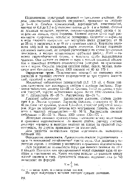 Межеумок занимает промежуточное положение между масличным и грызовым подсолнечником. По высоте стебля, размеру листьев, диаметру корзинки и величине семянок он похож на грызовой подсолнечник, по другим признакам — на масличный.