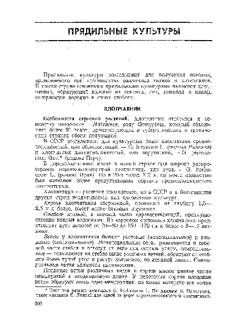 Особенности строения растений. Хлопчатник относится к семейству мальвовые—Malvaceae, роду Gossypium, который объединяет более 60 видов, произрастающих в субтропических и тропических странах обоих полушарий.