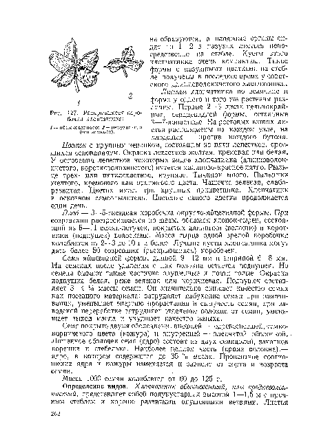 Цветок с крупным венчиком, состоящим из пяти лепестков, сросшихся основаниями. Окраска лепестков желтая, кремовая или белая. У основания лепестков некоторых видов хлопчатника (длинноволокнистого, коротковолокнистого) имеется малиново-красное пятно. Рыльце трех- или пятилопастное, крупное. Тычинок много. Пыльники желтого, кремового или оранжевого цвета. Чашечка зеленая, слаборазвитая. Цветок имеет три крупных прицветника. Хлопчатник в основном самоопылитель. Цветение одного цветка продолжается один день.