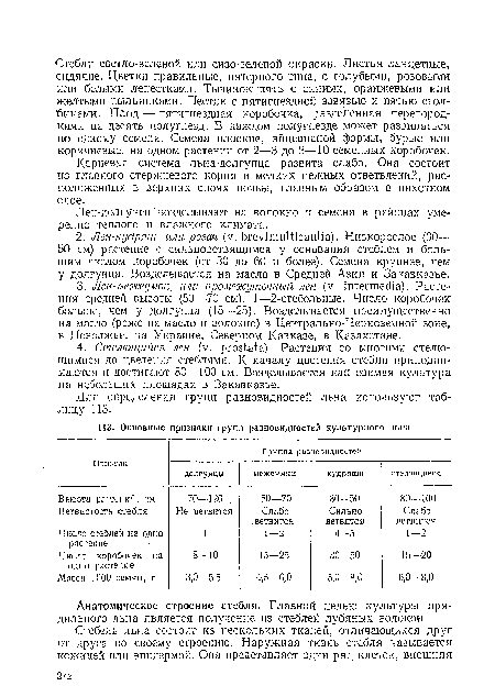 Корневая система льна-долгунца развита слабо. Она состоит из главного стержневого корня и мелких нежных ответвлений, расположенных в верхних слоях почвы, главным образом в пахотном слое.