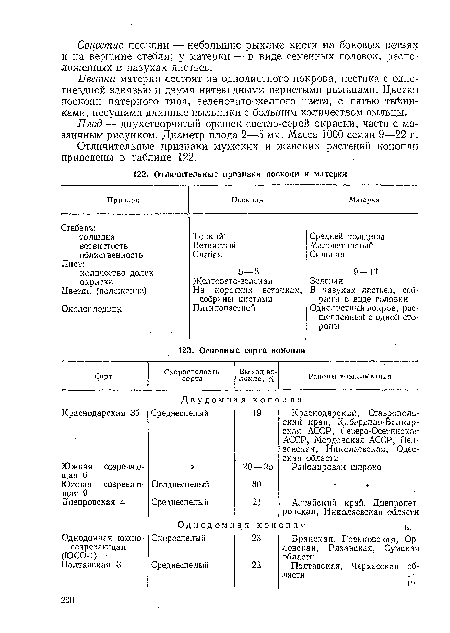 Плод — двухстворчатый орешек светло-серой окраски, часто с мозаичным рисунком. Диаметр плода 2—5 мм. Масса 1000 семян 9—22 г.