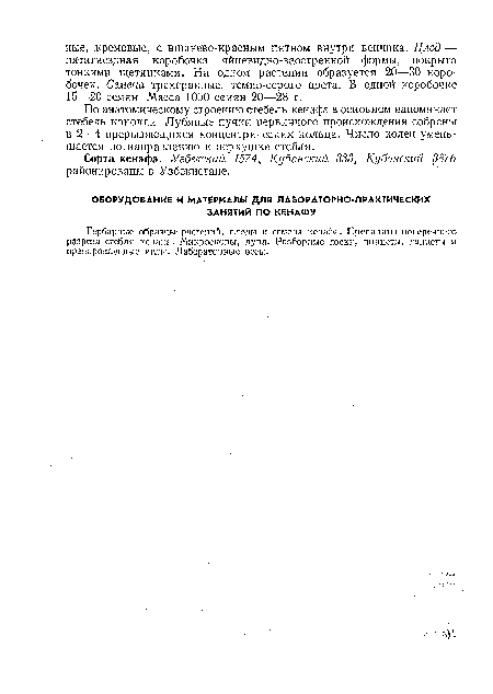 По анатомическому строению стебель кенафа в основном напоминает стебель конопли. Лубяные пучки первичного происхождения собраны в 2—4 прерывающихся концентрических кольца. Число колец уменьшается по.направлению к верхушке стебля.