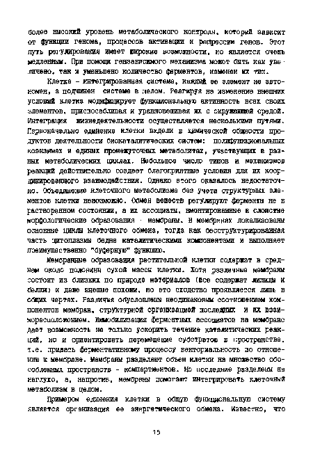 Эскизы и чертежи по содержанию не имеют различий а отличаются лишь по технике исполнения