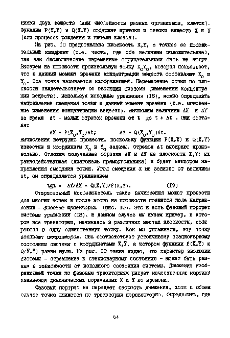 Старательный исследователь такие вычисления может провести для многих точек и после этого на плоскости появится поле направлений - фазовые траектории (рис. 10). Это и есть фазовый портрет системы уравнений (18). В данном случае мы имеем пример, в котором все траектории, начинаясь в различных местах плоскости, собираются в одну единственную точку. Как мы упоминали, эту точку называют аттраторол. Она соответствует устойчивому стационарному состоянию системы с координатами ХД, в котором функции Р(Х,7) и <3(Х,7) равны нулю. На рис. 10 также видно, что характер эволюции системы - стремление к стационарному состоянию - может быть разным в зависимости от исходного состояния системы. Движение изображающей точки по фазовым траекториям рисует качественную картину изменения динамических переменных X и У во времени.