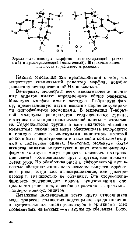 Каковы основания для предположения о том, что существует специальный рецептор морфия, подобно рецептору тетродотоксина? Их несколько.