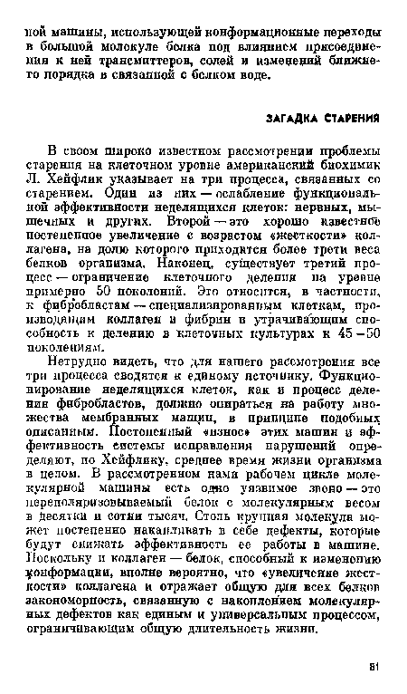 В своем широко известном рассмотрении проблемы старения на клеточном уровне американский биохимик Л. Хейфлик указывает на три процесса, связанных со старением. Один из них — ослабление функциональной эффективности неделящихся клеток: нервных, мышечных и других. Второй — это хорошо известное постепенное увеличение с возрастом «жесткости» коллагена, на долю которого приходится более трети веса белков организма. Наконец, существует третий процесс — ограничение клеточного деления на уровне примерно 50 поколений. Это относится, в частности, к фибр областам — специализированным клеткам, производящим коллаген и фибрин и утрачивающим способность к делению в клеточных культурах к 45—50 поколениям.