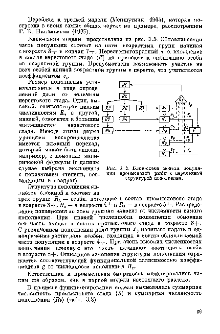 Блок-схема модели популяции промысловой рыбы с переменной структурой пополнения.