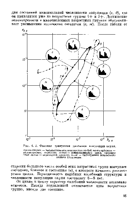 Фазовая диаграмма дииамики популяции окуня.