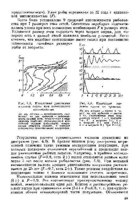 Изоплетная диаграмма выловов окуня при интенсивном каннибализме.