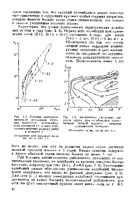 Фазовая диаграмма динамики популяции окуня при различных интенсивностях промысла (/ ’) и ячее соти, соответствующей размеру рыбы в возрасте 2+.