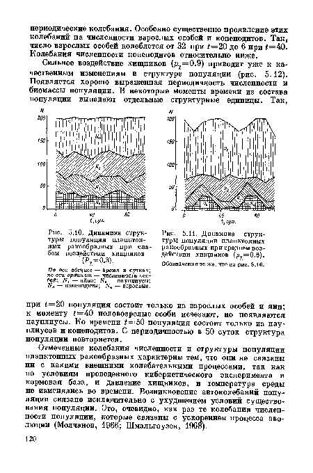 Динамика структуры популяции планктонных ракообразных при слабом воздействии хищников (Ру=0.3).