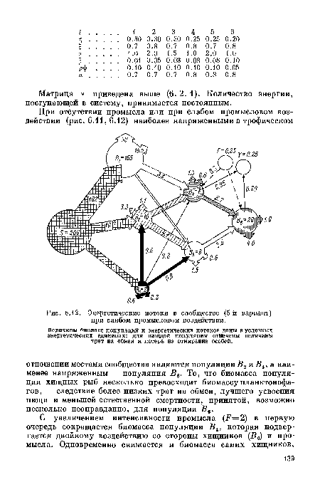 Энергетические потоки в сообществе (5-й вариант) при слабом промысловом воздействии.