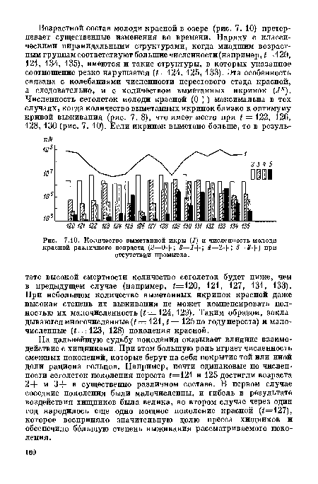 Количество выметанной икры (1) и численность молоди красной различного возраста (2—0+; 3—-7+; 4—2+; 5—5+) при отсутствии промысла.