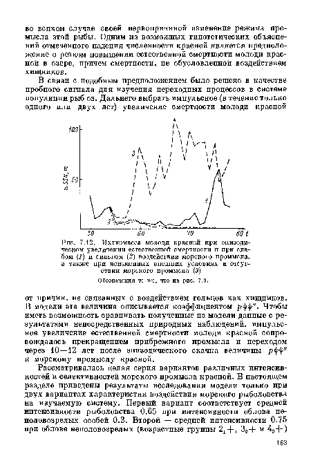 Ихтиомасса молоди красной при эпизодическом увеличении естественной смертности и при слабом (1) и сильном (2) воздействии морского промысла, а также при неизменных внешних условиях и отсутствии морского промысла (3).