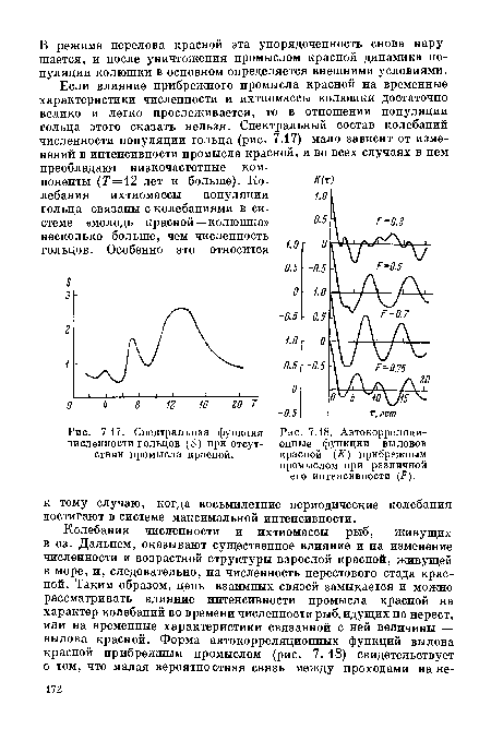 Спектральная функция численности гольцов (5) при отсутствии промысла красной.