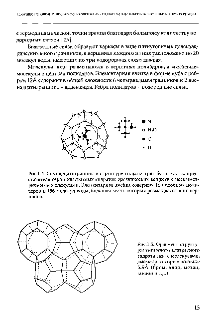 Семнадцатигранник в структуре гидрата трет-бутиламппа, представителя серии клатратных гидратов органических веществ с несимметричными молекулами. Элементарная ячейка содержи 1 16 подобных полиэдров и 156 молекул воды, большая часть которых размещается в их вершинах