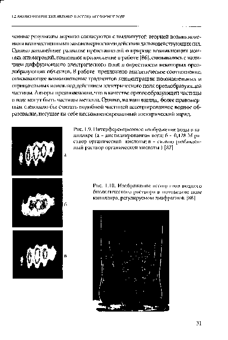 Интерференционное изображение воды в капилляре (а - дистиллированная вода; б - 0,128 М раствор органической кислоты; в - сильно разбавленный раствор органической кислоты ) [87]
